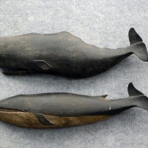 Clark Voorhees whales we buy and sell