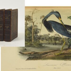 J.J. Audubon's ", 1860 Octavo edition